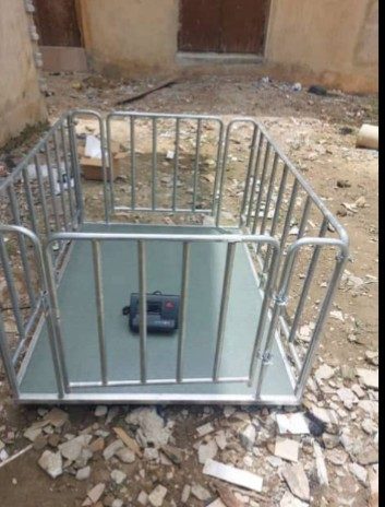 3 tonnes A12 animal weighing scale with cage