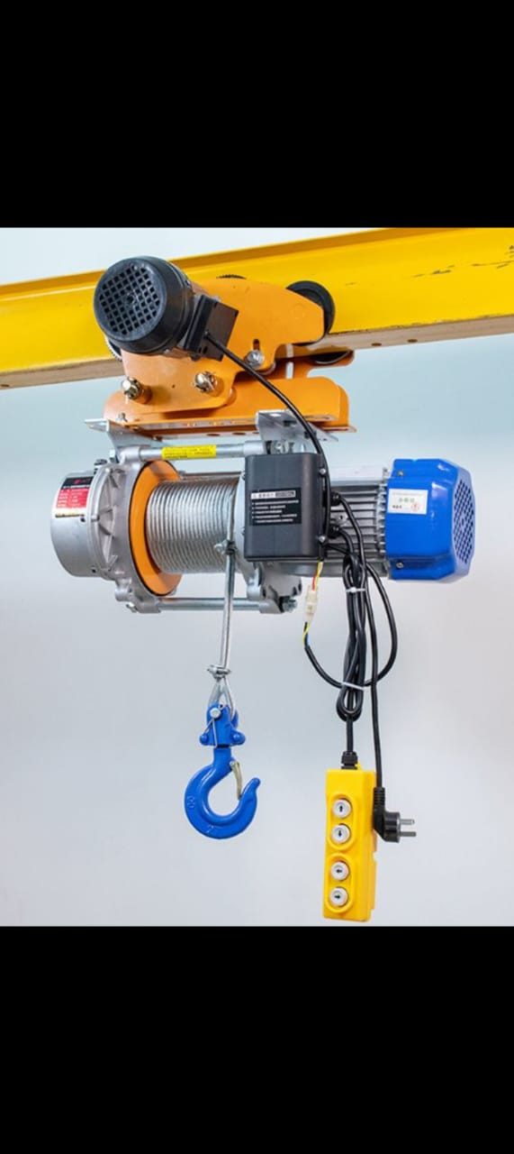 Electric wintch hoist